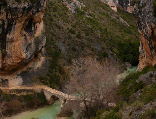 Alquebarde information